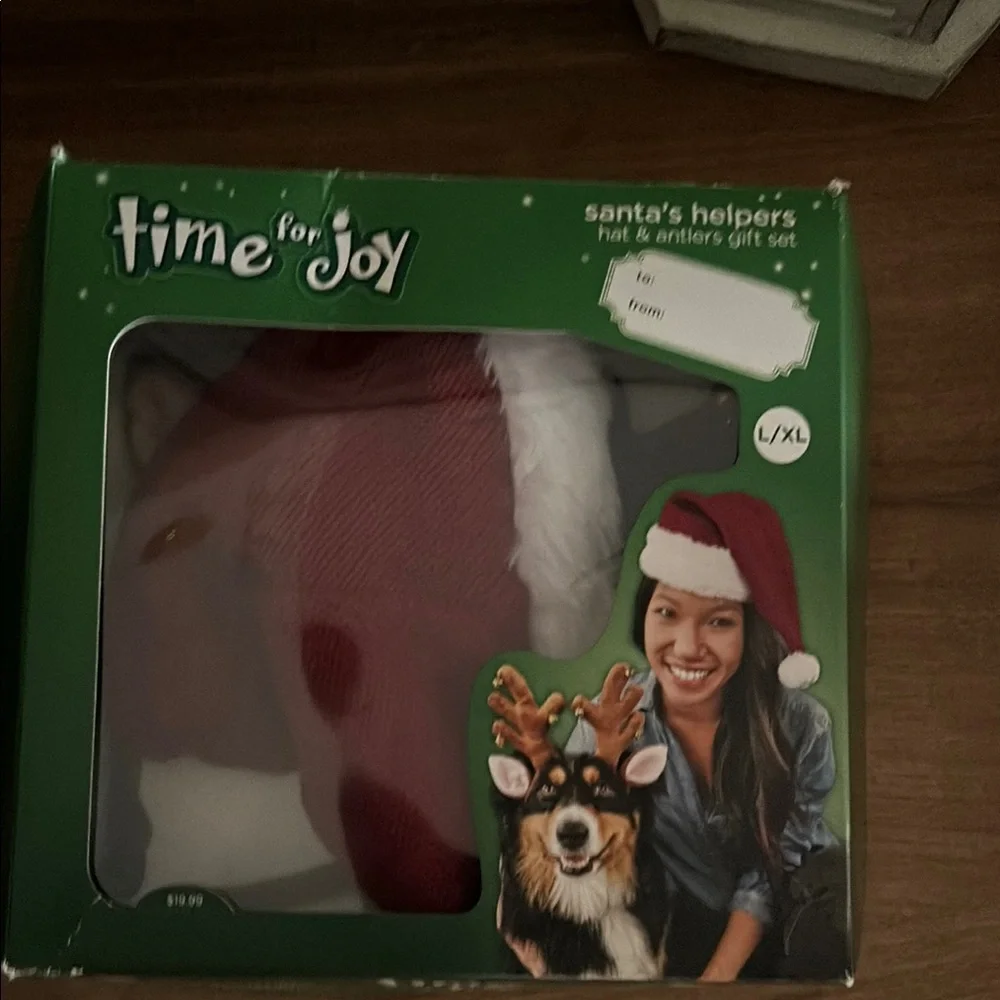 Time for Joy Santa's Helpers Hat & Antlers Set